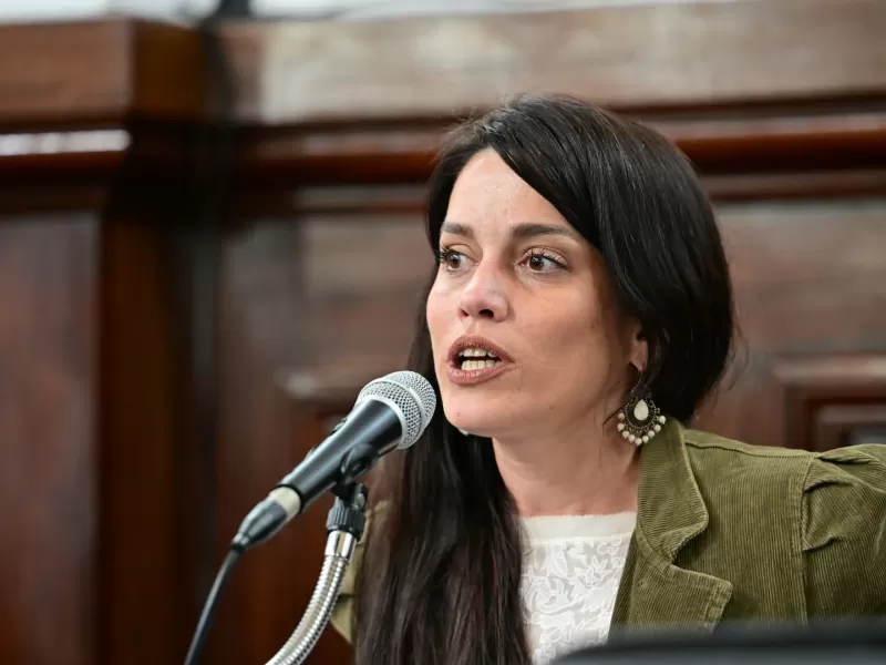 El HCD de La Plata aprob&oacute; una nueva herramienta para las instituciones y avanz&oacute; en el debate sobre convivencia ciudadana