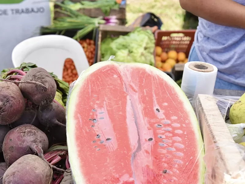M&aacute;s ofertas y beneficios para las familias en el Mercado Bonaerense Fijo