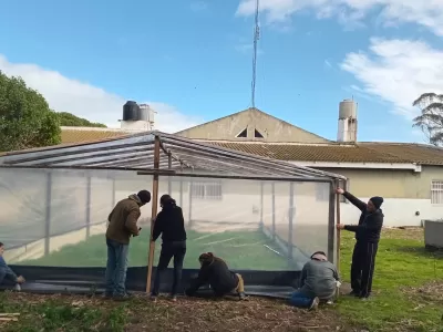 Costa Bonita: un invern&aacute;culo para aprender, producir y construir territorio Forestaci&oacute;n Inclusiva