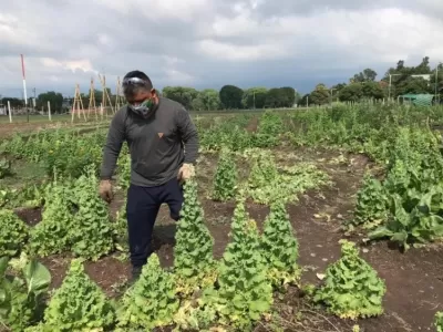 INTA:  Podrían cerrar 158.000 establecimientos de la agricultura familiar