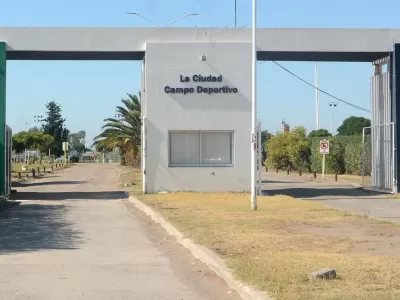 Robaron &aacute;rboles del predio de Villa Mitre y crece la preocupaci&oacute;n por los reiterados hechos de inseguridad
