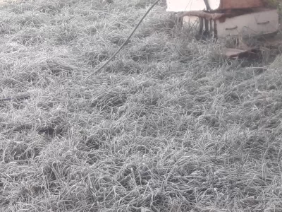 Heladas extremas y récord de frío en el AMBA: la mañana más gélida del año