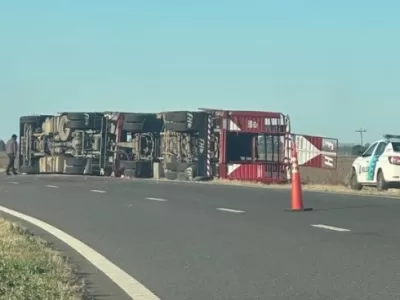 Tras el vuelco de un cami&oacute;n jaula con porcinos, vecinos se acercaron a faenar