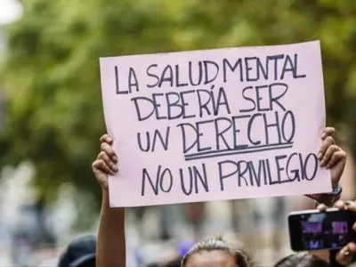 La reforma de la Ley de Salud Mental impulsada por Milei qued&oacute; habilitada para debatirse en el Senado