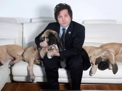 Milei denunció penalmente a Julia Mengolini por injurias tras sus dichos sobre Karina y sus perros