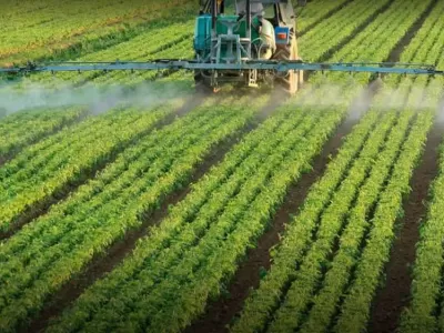 El Municipio suspendi&oacute; de manera provisoria un art&iacute;culo de la ordenanza de agroqu&iacute;micos por un fallo de la Suprema Corte