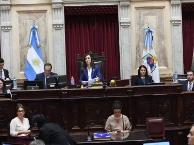 El Senado tratará el veto de Milei a la ley de emergencia en discapacidad en medio del escándalo por la ANDIS