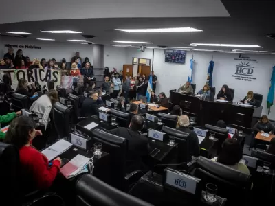 El HCD aprob&oacute; cambios para vender 97 veh&iacute;culos y modific&oacute; el r&eacute;gimen de guardavidas