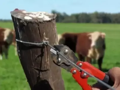 Aumentan los delitos rurales en el noroeste bonaerense y crece la preocupaci&oacute;n de productores