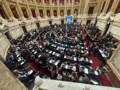 Diputados fij&oacute; fechas para debatir la emergencia en discapacidad y el endeudamiento familiar