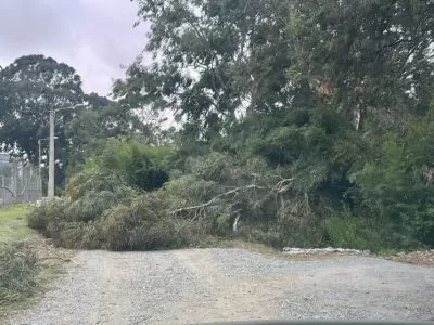 Temporal de viento: hubo cerca de 30 intervenciones y r&aacute;fagas de 72 km/h