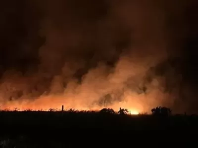 Incendio forestal cerca de Mar del Plata arras&oacute; unas 200 hect&aacute;reas y moviliz&oacute; a decenas de bomberos