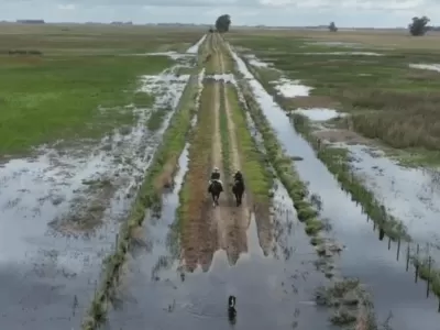 Caminos rurales bonaerenses: el 79% de los productores los califica como malos o muy malos