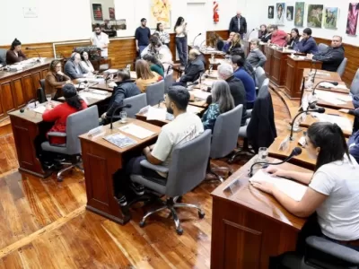 El Concejo Deliberante aprob&oacute; homenajes al Papa Francisco, Madres de Plaza de Mayo y referentes culturales